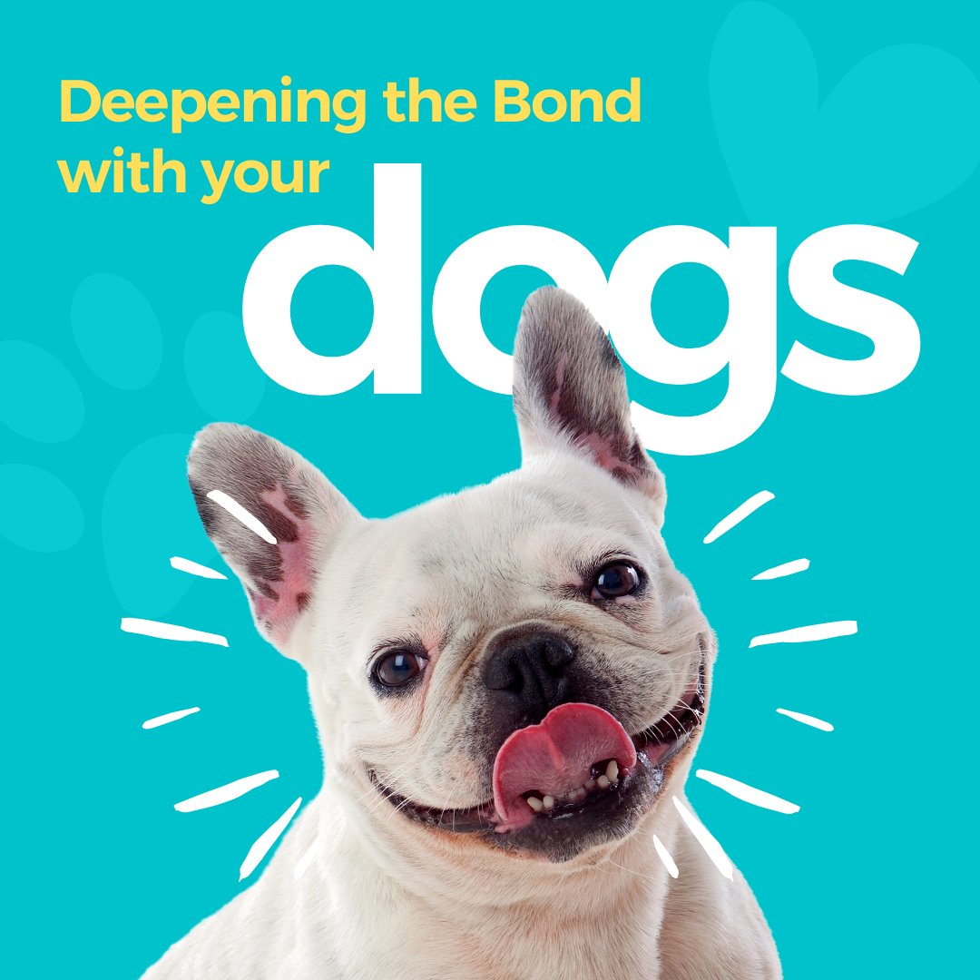 Deepening the Bond: Fostering Love Through Shared Treats with Jeff & Jeffy - Jeff & Jeffy